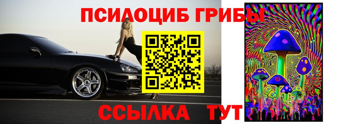 Псилоцибиновые грибы мицелий  Вход с VPN  Кинель 