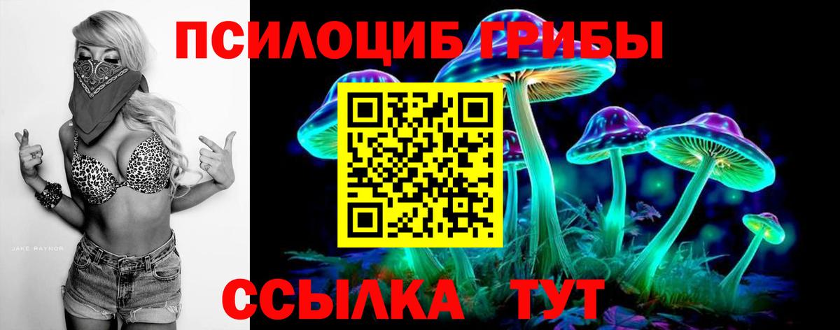 Псилоцибиновые грибы GOLDEN TEACHER Кинель